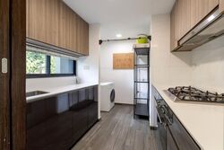Botanique At Bartley (D19), Condominium #618318791